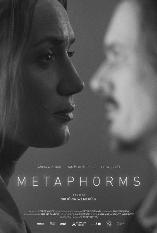 metaphorms_borito